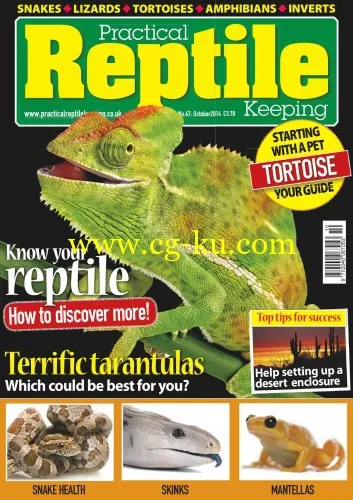 Practical Reptile Keeping – October 2014-P2P的图片1