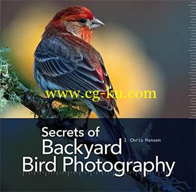 Secrets Of Backyard Bird Photography By J. Chris Hansen-P2P的图片1