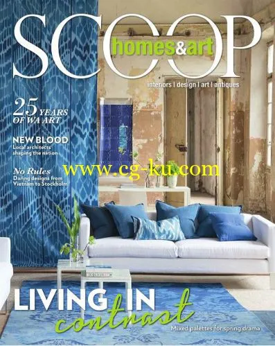 Scoop Homes & Art Magazine Issue 42-P2P的图片1