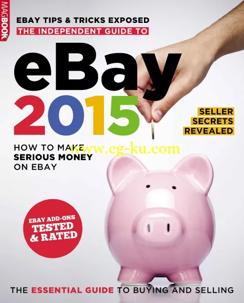 The Independent Guide To Ebay 2015-P2P的图片1