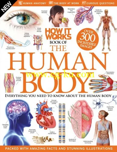 How It Works: Book Of The Human Body 3rd Revised Edition 2015-P2P的图片1