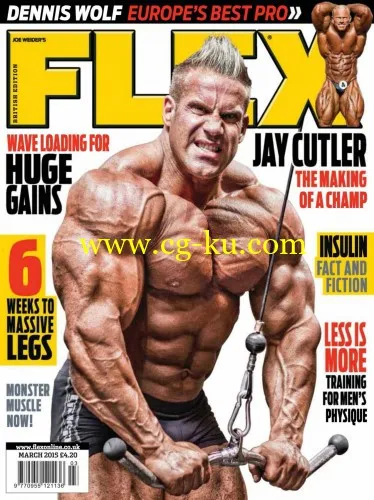 Flex UK – March 2015-P2P的图片1