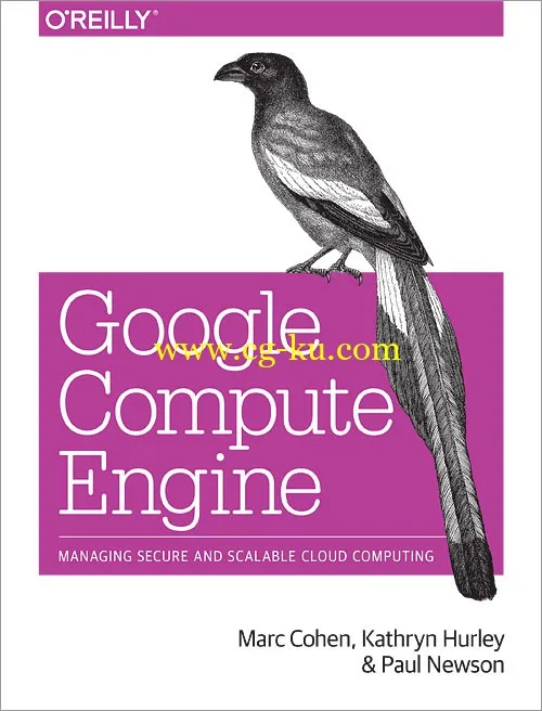 Google Compute Engine 2015-P2P的图片1