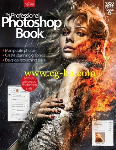 The Professional Photoshop Book – Vol. 6 2015-P2P的图片1