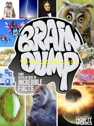 How It Works Brain Dump – Issue 21, 2014-P2P的图片1