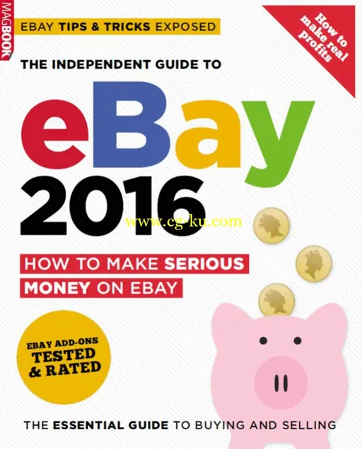 The Independent Guide To Ebay 2016-P2P的图片1