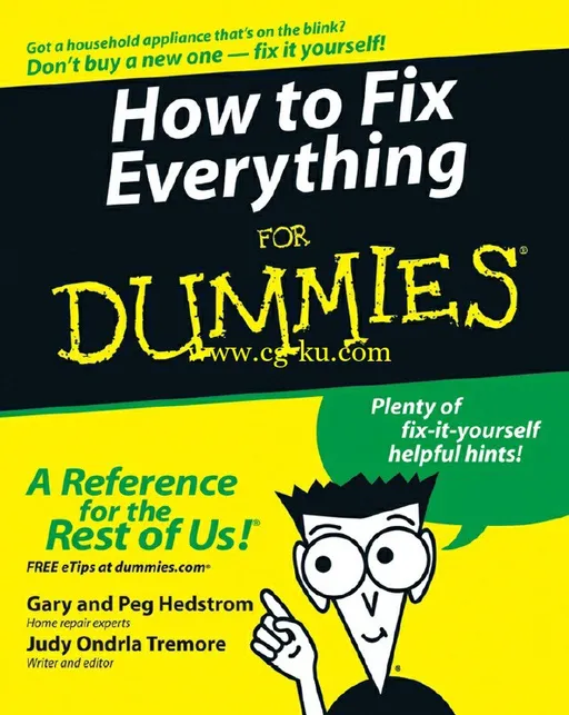 How To Fix Everything For Dummies-P2P的图片1