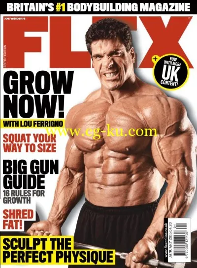 Flex UK – January 2016-P2P的图片1