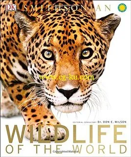 Wildlife Of The World-P2P的图片1