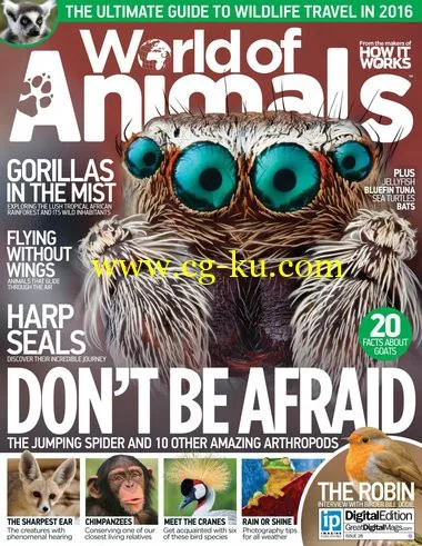 World Of Animals – Issue 28-P2P的图片1