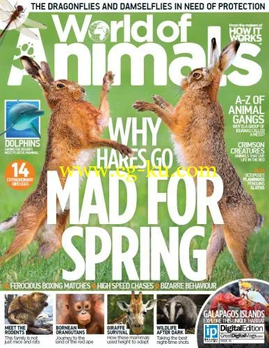 World Of Animals – Issue 31 2016-P2P的图片1