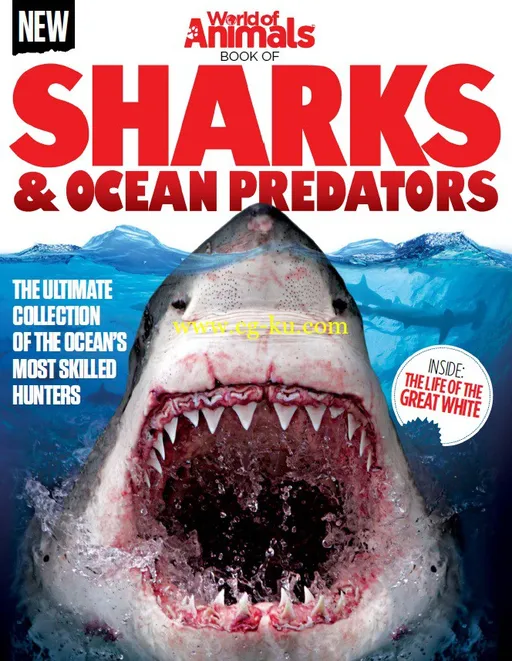 World Of Animals – Book Of Sharks & Ocean Predators-P2P的图片1