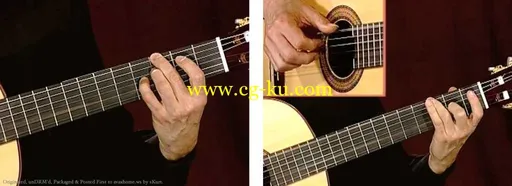 Grossman Guitar Workshop – Rick Udler – The Brazilian Sound – DVD (2009)的图片3