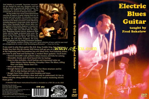 Grossman Guitar Workshop – Fred Sokolow – Electric Blues Guitar – DVD (2006)的图片1