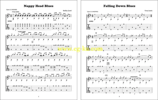 Grossman Guitar Workshop – Tom Feldmann – Masters Of Bottleneck Blues Guitar – 2xD的图片4