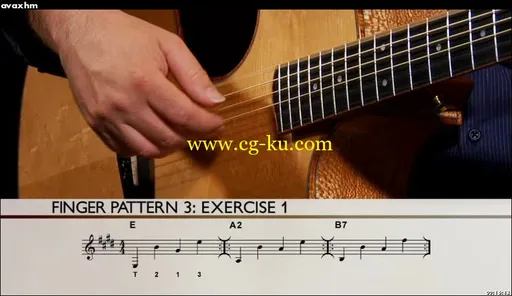 Steve Krenz – Learn And Master Fingerstyle Guitar的图片3