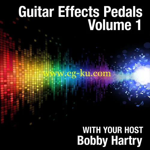 Total Training – Guitar Effects Pedals Volume 1的图片1