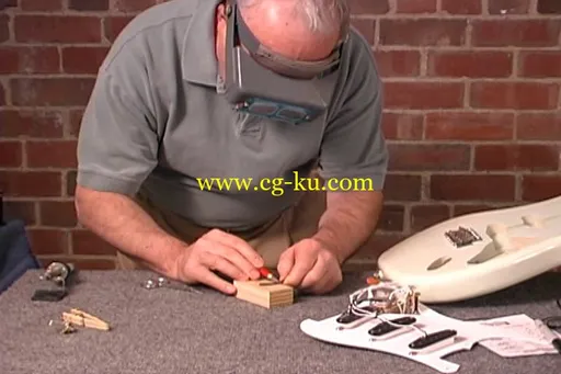 Dan Erlewine – How To Wire A Fender Guitar Full 1 DVD的图片6