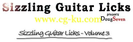 Sizzling Guitar Licks Volume 3 – Doug Seven的图片1