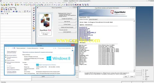 Altair HyperWorks 12.0.1 Update X64 (Windows 8)的图片2