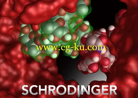 Schrodinger Suite 2013.1的图片1