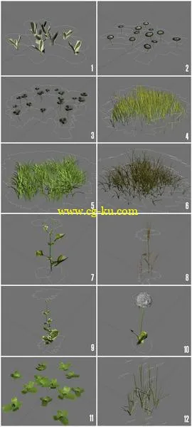 real Ground Plants by Exor的图片2