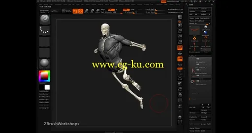 ZBrush人体解剖学大师班视频教程的图片1