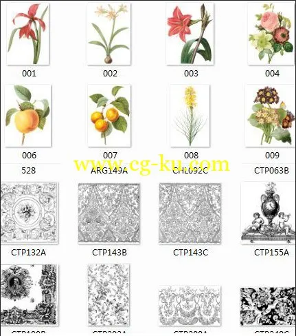 国外高质量184张花PS素材的图片1