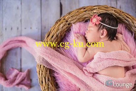 SLRLounge – Newborn Photography Workshop Collection的图片1