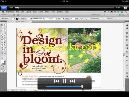 This Introduction to Adobe Illustrator CS5解释关键概念和技术的图片1