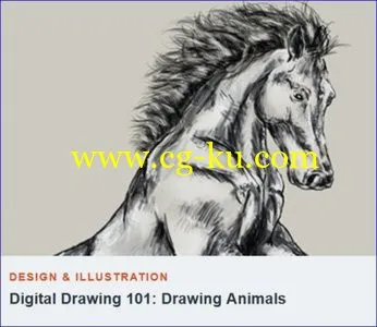 Tutsplus – Digital Drawing 101 Drawing Animals的图片1