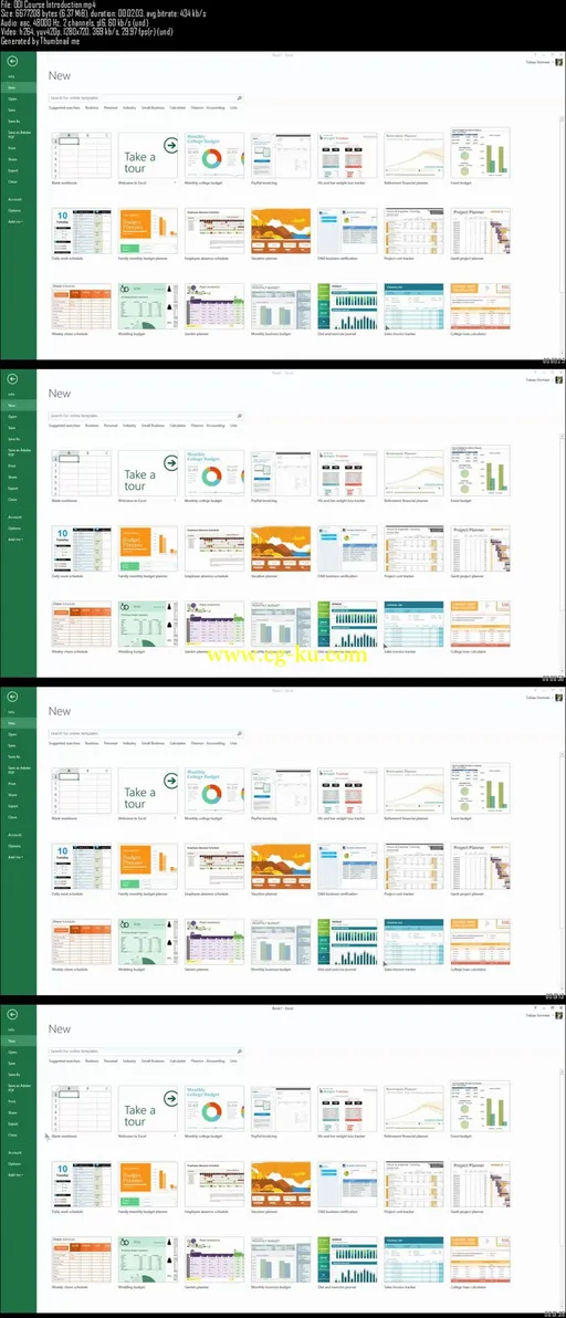 Basic And Intermediate Microsoft Excel 2013 For Anyone的图片2