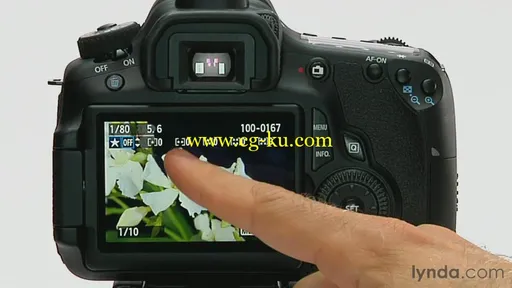 Lynda – Canon Tutorials : Shooting With The Canon 60D的图片3