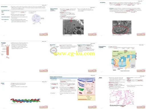 USMLE-Rx – First Aid Step 1 Express Videos 2013的图片2