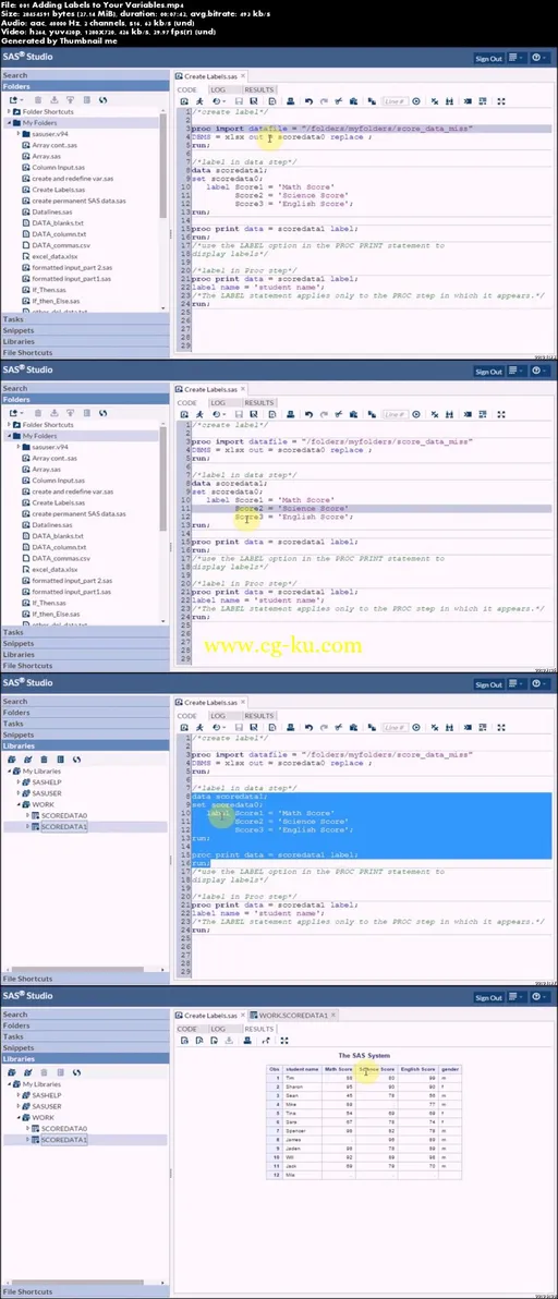 SAS Base Programming Essentials On Data Manipulation的图片2