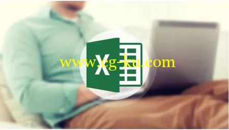 Introduction To Excel 2013的图片1