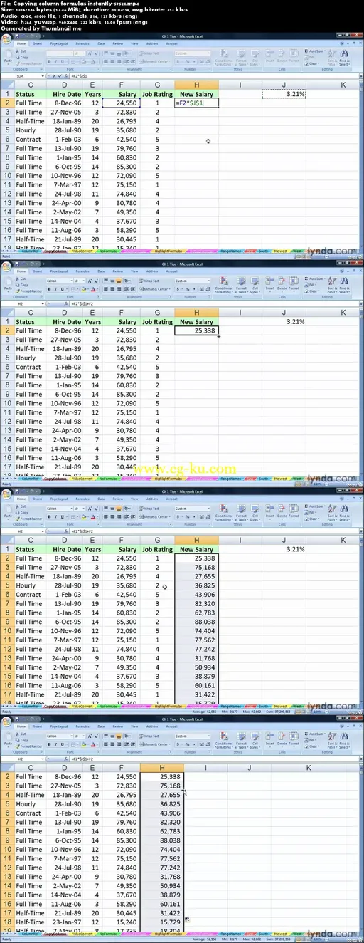 Lynda – Excel 2007: Advanced Formulas And Functions的图片2