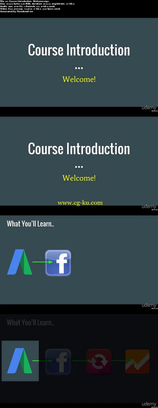 Learn Facebook & Adwords PPC With A Former Google Employee的图片2