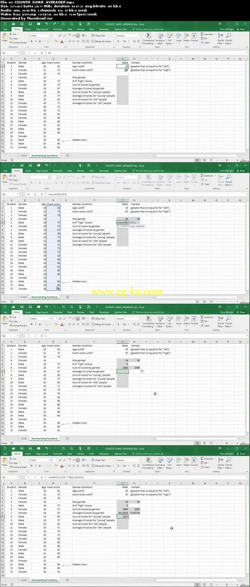 Practical Excel 2016 – Intermediate & Advanced的图片2