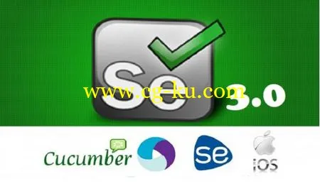 Selenium Webdriver With Java (Basics + Advance + Architect)的图片1