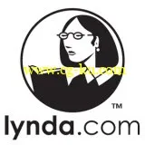 Lynda.com – Excel 2007: Charts In Depth的图片1