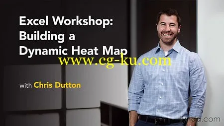 Lynda – Excel Workshop: Building A Dynamic Heat Map的图片1