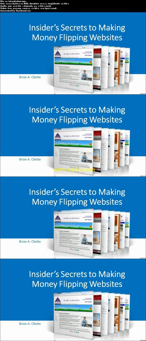 Website Flipping : Flip Websites For Profit的图片2