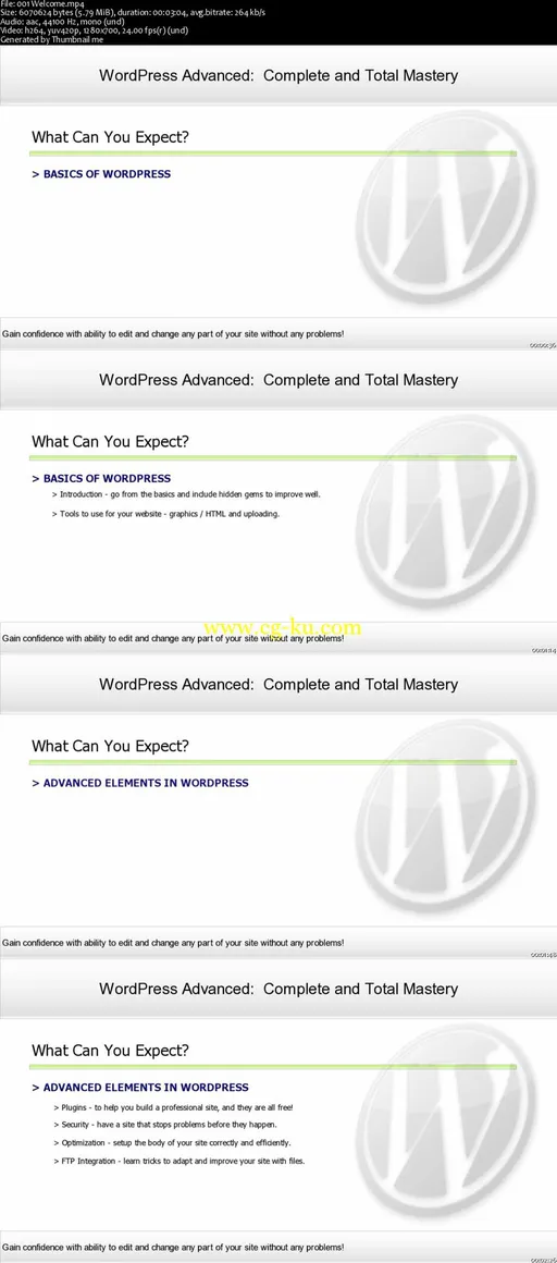 Wordpress Advanced Security And SEO Plugin Mastery的图片2