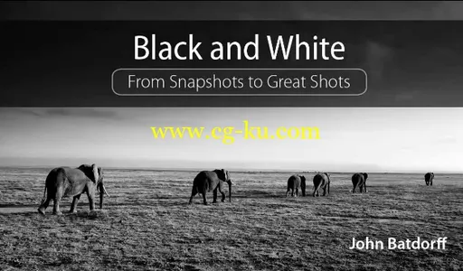 Black And White: From Snapshots To Great Shots (2015 Release)的图片1