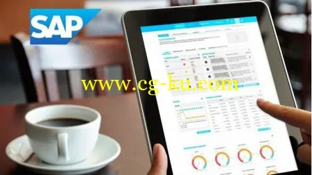 Crystal Reports For SAP Business One Mastery Training Course的图片1