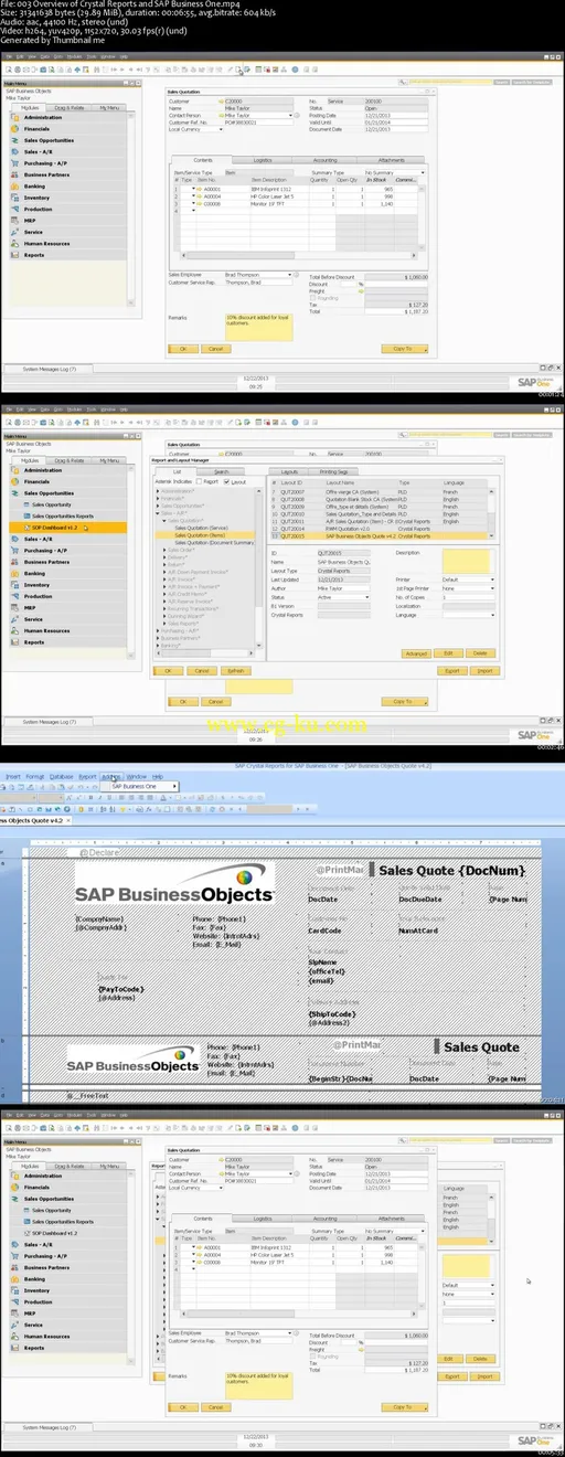 Crystal Reports For SAP Business One Mastery Training Course的图片2