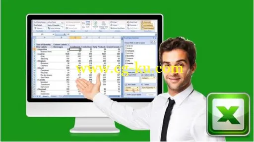 Amazing Reports And Data Analysis With Excel Pivot Tables的图片1