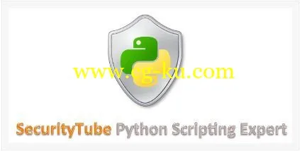 SecurityTube – Python Scripting Expert的图片1