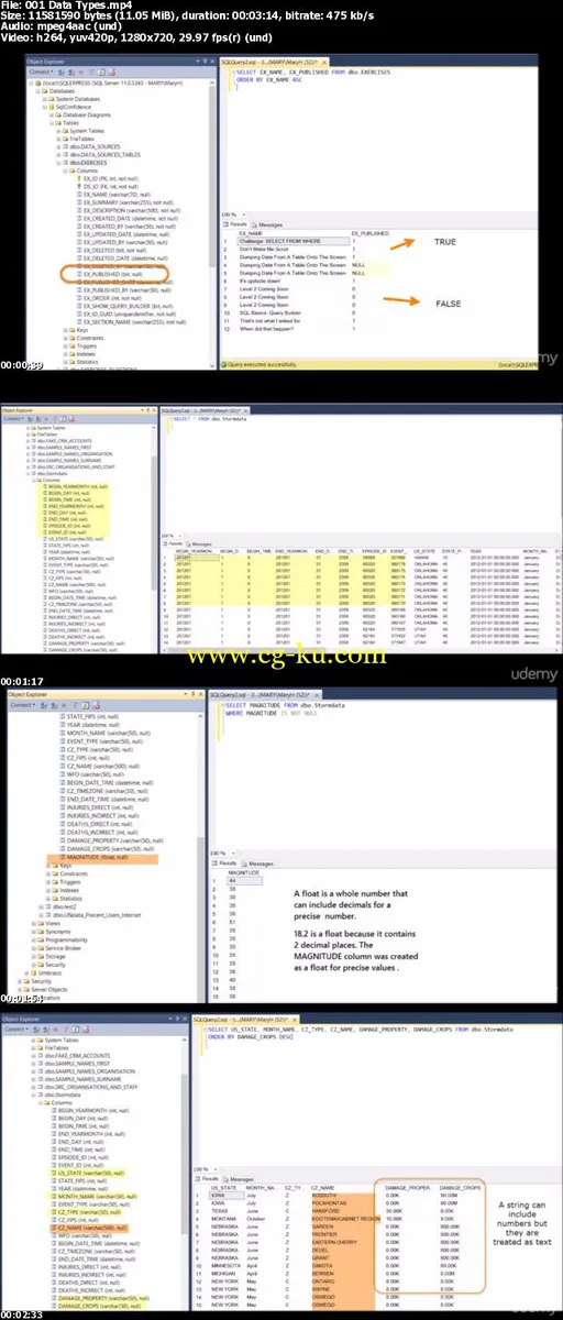 SQL For The Workplace With Bespoke Interactive Exercises的图片2